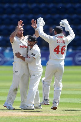 020725 - Glamorgan v Gloucestershire - Rothesay County Championship - James Harris of Glamorgan celebrates after taking the wicket of Cameron Bancroft of Gloucestershire