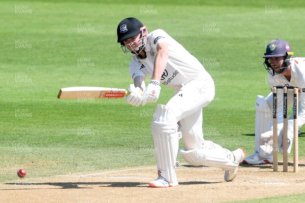 020725 - Glamorgan v Gloucestershire - Rothesay County Championship - Joe Phillips of Gloucestershire batting