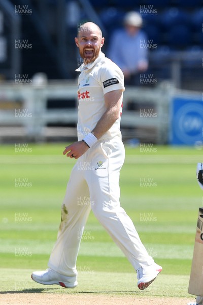 020725 - Glamorgan v Gloucestershire - Rothesay County Championship - James Harris of Glamorgan celebrates after taking the wicket of Cameron Bancroft of Gloucestershire