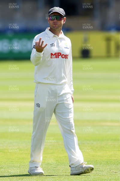 020725 - Glamorgan v Gloucestershire - Rothesay County Championship - Colin Ingram of Glamorgan