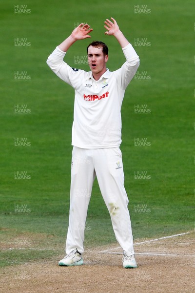 020725 - Glamorgan v Gloucestershire - Rothesay County Championship - Ben Kellaway of Glamorgan bowling