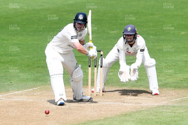 020725 - Glamorgan v Gloucestershire - Rothesay County Championship - Miles Hammond of Gloucestershire batting