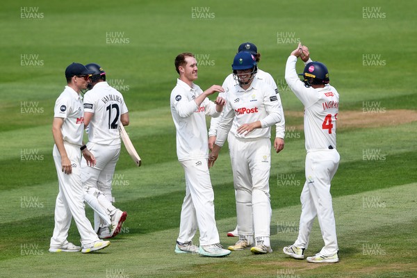 020725 - Glamorgan v Gloucestershire - Rothesay County Championship - Ben Kellaway of Glamorgan celebrates taking the wicket of Graeme van Buuren of Gloucestershire