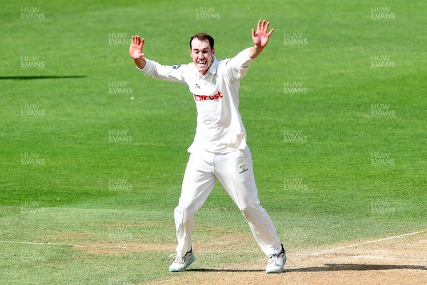 020725 - Glamorgan v Gloucestershire - Rothesay County Championship - Ben Kellaway of Glamorgan celebrates taking the wicket of Zaman Akhter of Gloucestershire