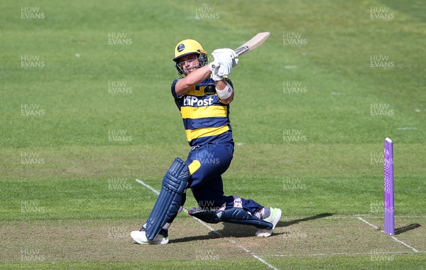 030418 - Glamorgan v Gloucestershire - Pre Season Friendly - David Lloyd of Glamorgan batting
