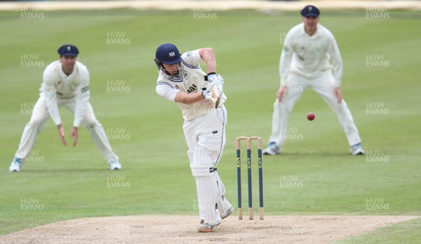 030812 - Glamorgan v Gloucestershire, LV County Championship Division 2 -  Gloucestershires' Ian Cockbain plays a shot 