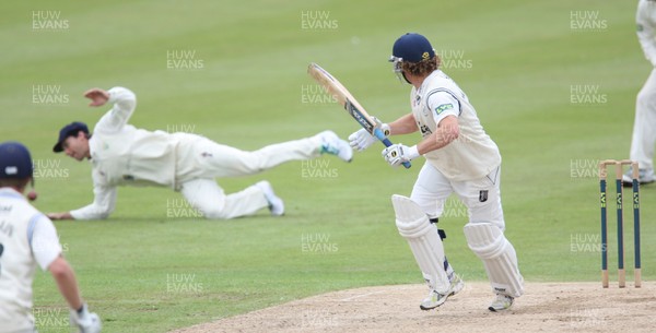 030812 - Glamorgan v Gloucestershire, LV County Championship Division 2 -  Gloucestershires' Hamish Marshall plays a shot past Glamorgans' Stewart Walters 