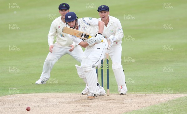 030812 - Glamorgan v Gloucestershire, LV County Championship Division 2 -  Gloucestershires' Ian Cockbain plays a shot 