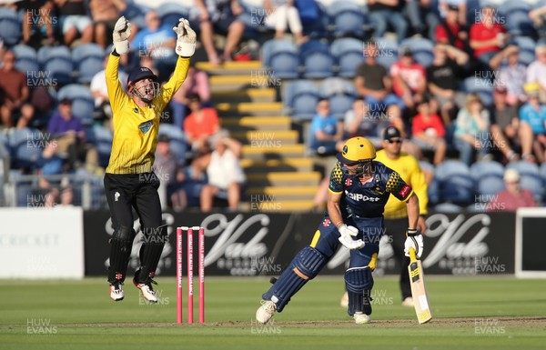 030818 - Glamorgan v Gloucestershire, Vitality Blast - Gareth Roderick of Gloucestershire appeals as Graham Wagg of Glamorgan is given out LBW