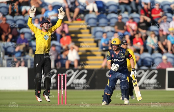 030818 - Glamorgan v Gloucestershire, Vitality Blast - Gareth Roderick of Gloucestershire appeals as Graham Wagg of Glamorgan is given out LBW