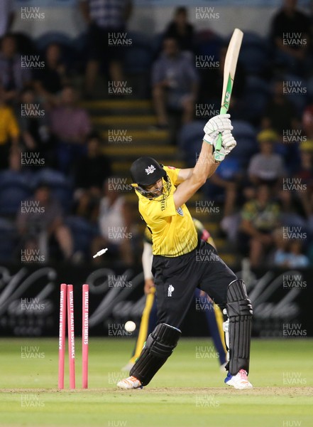 030818 - Glamorgan v Gloucestershire, Vitality Blast - Timm van der Gugten of Glamorgan bowls out Andrew Tye of Gloucestershire with the final ball to win the match
