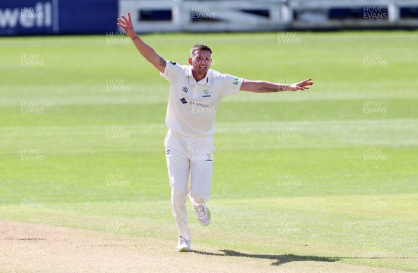 060423 - Glamorgan v Gloucestershire - LV= County Championship - Harry Podmore of Glamorgan celebrates as Chris Dent is caught by Chris Cooke