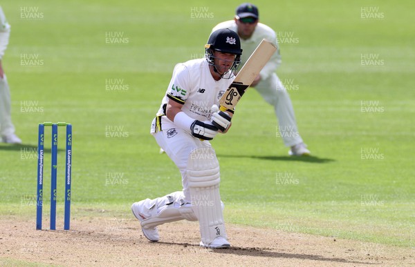060423 - Glamorgan v Gloucestershire - LV= County Championship - Marcus Harris of Gloucestershire batting