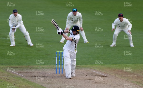 060423 - Glamorgan v Gloucestershire - LV= County Championship - James Bracey of Gloucestershire batting