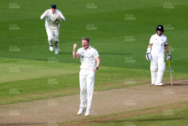 060423 - Glamorgan v Gloucestershire - LV= County Championship - Timm Van Der Gugten of Glamorgan celebrates taking the wicket of Ollie Price of Gloucestershire for LBW