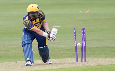 Glamorgan v Gloucestershire 060616