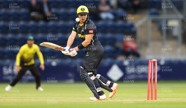 070622 -  Glamorgan v Gloucestershire, T20 Vitality Blast - Dan Douthwaite of Glamorgan looks back at the wicket as he is bowled by David Payne of Gloucestershire
