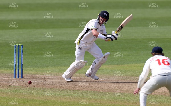 080423 - Glamorgan v Gloucestershire - LV= County Championship - Marcus Harris of Gloucestershire batting