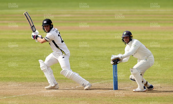 080423 - Glamorgan v Gloucestershire - LV= County Championship - James Bracey of Gloucestershire batting