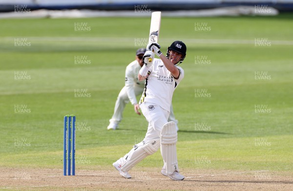 080423 - Glamorgan v Gloucestershire - LV= County Championship - Marcus Harris of Gloucestershire hits his century