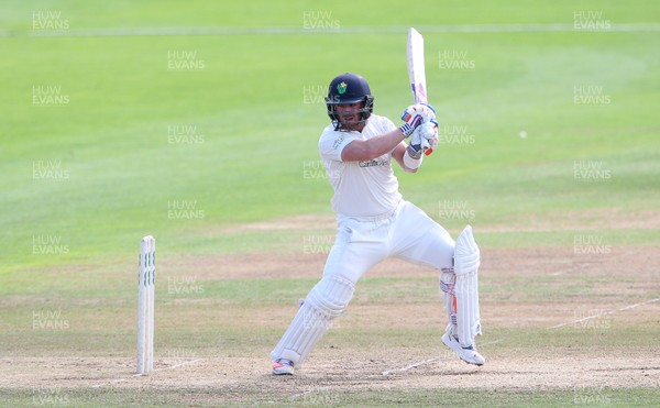 080916 - Glamorgan v Gloucestershire - Specsavers County Championship Division Two - David Lloyd of Glamorgan batting