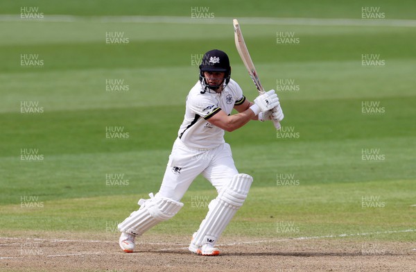 090423 - Glamorgan v Gloucestershire - LV= County Championship - Graeme van Buuren of Gloucestershire batting