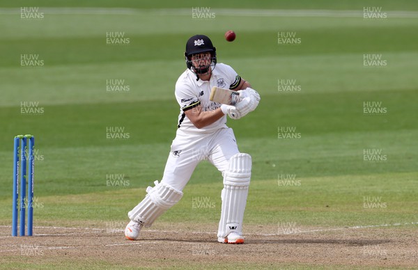 090423 - Glamorgan v Gloucestershire - LV= County Championship - Graeme van Buuren of Gloucestershire batting