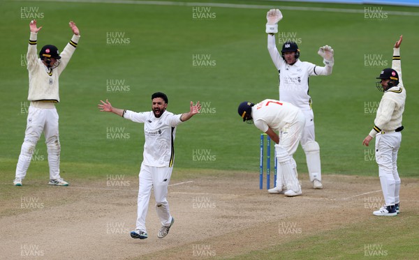090423 - Glamorgan v Gloucestershire - LV= County Championship - Zafar Gohar of Gloucestershire appeals for the wicket of Billy Root of Glamorgan