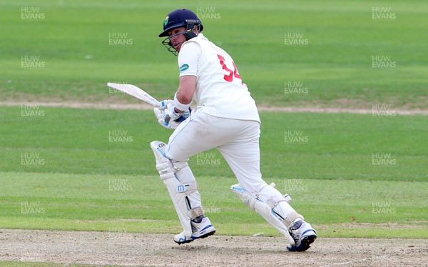 100918 - Glamorgan v Gloucestershire - Specsavers Championship Division Two - Tom Cullen of Glamorgan batting