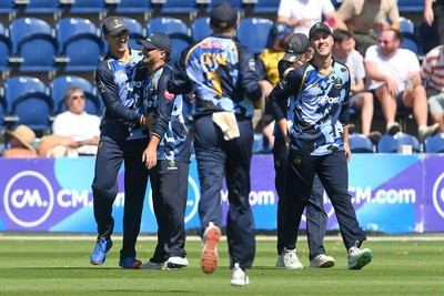 130725 - Glamorgan v Gloucestershire - T20, Vitality Blast - Asa Tribe of Glamorgan catches the ball to dismiss Miles Hammond of Gloucestershire