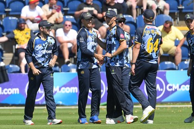 130725 - Glamorgan v Gloucestershire - T20, Vitality Blast - Asa Tribe of Glamorgan catches the ball to dismiss Miles Hammond of Gloucestershire