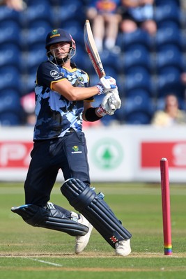 130725 - Glamorgan v Gloucestershire - T20, Vitality Blast - Will Smale of Glamorgan batting