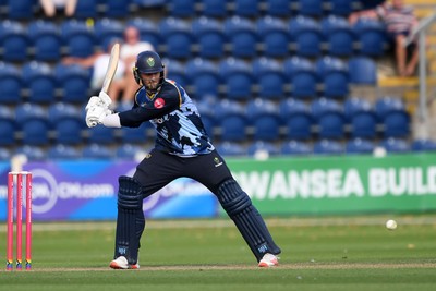 130725 - Glamorgan v Gloucestershire - T20, Vitality Blast - Ned Leonard of Glamorgan batting