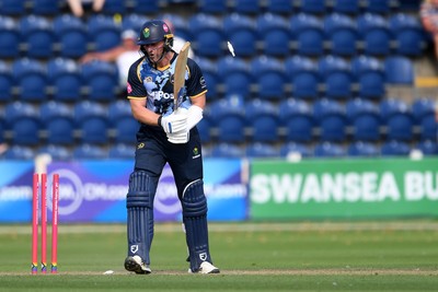 130725 - Glamorgan v Gloucestershire - T20, Vitality Blast - Timm Van Der Gugten of Glamorgan is bowled out by David Payne of Gloucestershire as they win the match