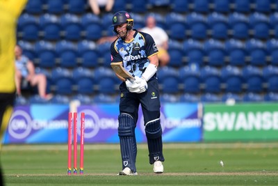 130725 - Glamorgan v Gloucestershire - T20, Vitality Blast - Timm Van Der Gugten of Glamorgan is bowled out by David Payne of Gloucestershire as they win the match