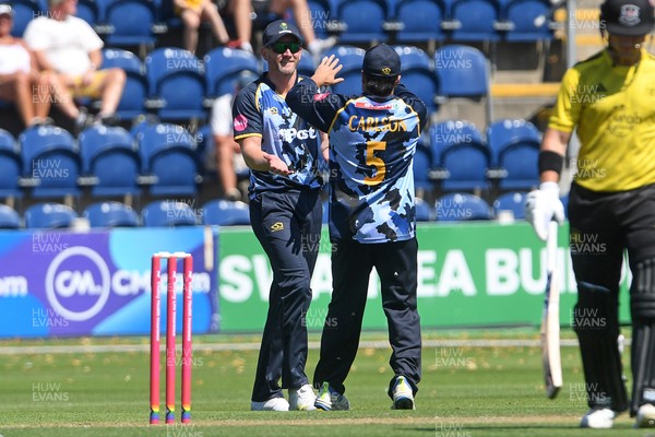 130725 - Glamorgan v Gloucestershire - T20, Vitality Blast - Timm Van Der Gugten of Glamorgan catches the ball to dismiss D'Arcy Short of Gloucestershire