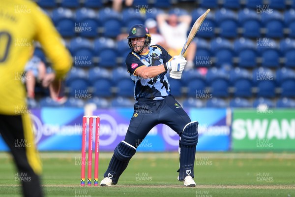 130725 - Glamorgan v Gloucestershire - T20, Vitality Blast - Timm Van Der Gugten of Glamorgan batting