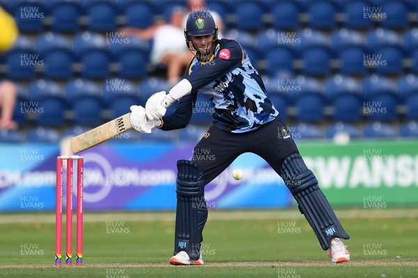 130725 - Glamorgan v Gloucestershire - T20, Vitality Blast - Ned Leonard of Glamorgan batting