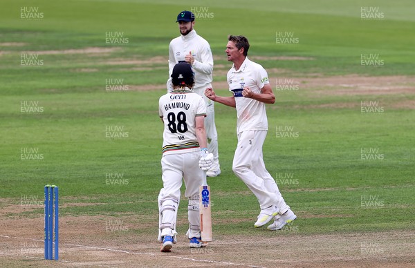 130921 - Glamorgan v Gloucestershire - LV= County Championship - Michael Hogan of Glamorgan celebrates after Miles Hammond is caught by Chris Cooke
