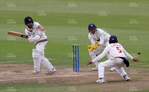 130921 - Glamorgan v Gloucestershire - LV= County Championship - Tom Lace of Gloucestershire batting