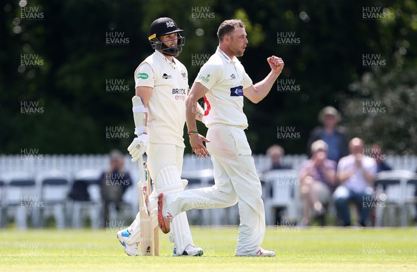 140519 - Glamorgan v Gloucestershire - Specsavers County Championship - Division Two - Graham Wagg of Glamorgan celebrates taking the wicket of Chris Dent of Gloucestershire