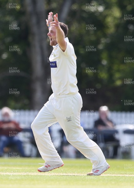 140519 - Glamorgan v Gloucestershire - Specsavers County Championship - Division Two - Graham Wagg of Glamorgan appeals for a wicket