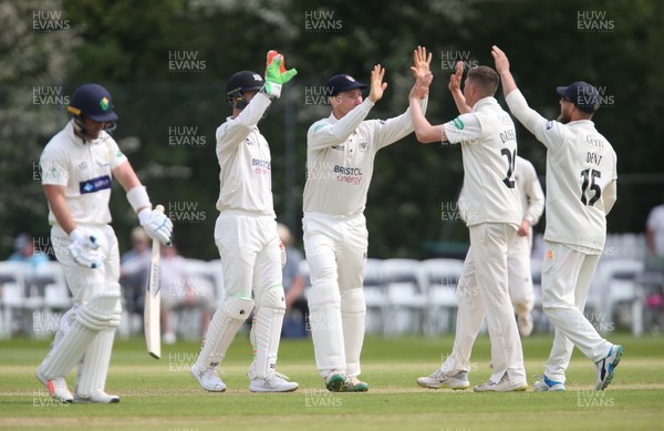 150519 - Glamorgan v Gloucestershire, Specsavers County Championship Division 2, Day 2 - Gloucestershire players celebrate after David Lloyd of Glamorgan is stumped by Gareth Roderick of Gloucestershire
