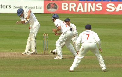 15.08.08 .. Glamorgan v Gloucestershire, LV County Championship, Swalec Stadium, Cardiff. - Richard Dawson of Gloucestersire plays the ball  