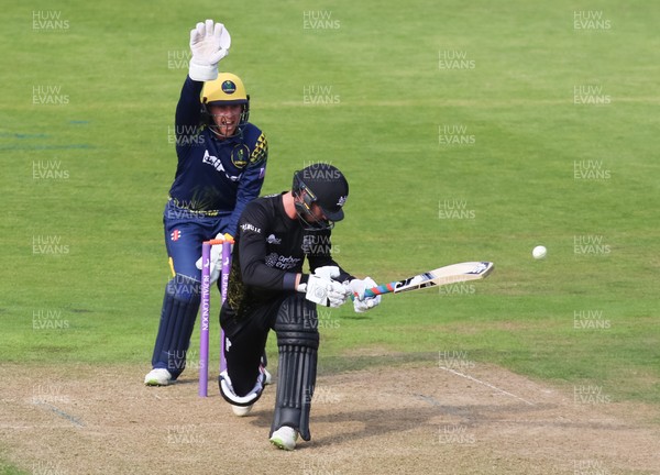 180518 - Glamorgan v Gloucestershire, Royal London One Day Cup - Chris Cooke of Glamorgan appeals as George Hankins of Gloucestershire is given out, LBW, off the bowling of Andrew Salter of Glamorgan