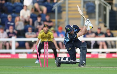 230526 - Glamorgan v Gloucestershire, Vitality Blast Men -  Henry Hurle of Glamorgan is bowled by Duan Jansen of Gloucestershire