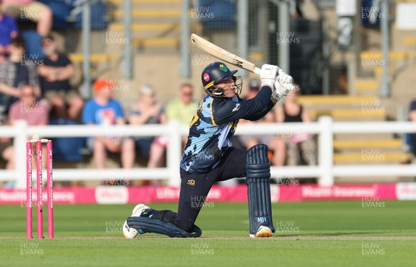 230526 - Glamorgan v Gloucestershire, Vitality Blast Men - Alex Horton of Glamorgan plays a shot