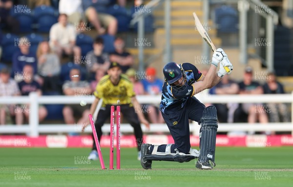 230526 - Glamorgan v Gloucestershire, Vitality Blast Men -  Henry Hurle of Glamorgan is bowled by Duan Jansen of Gloucestershire