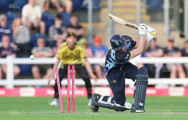 230526 - Glamorgan v Gloucestershire, Vitality Blast Men -  Henry Hurle of Glamorgan is bowled by Duan Jansen of Gloucestershire