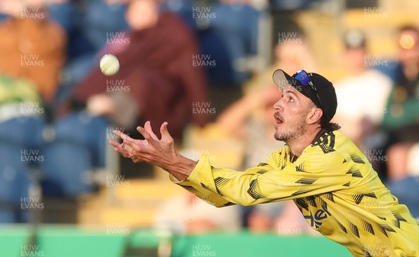 230526 - Glamorgan v Gloucestershire, Vitality Blast Men -  Duan Jansen of Gloucestershire catches Timm van der Gugten of Glamorgan